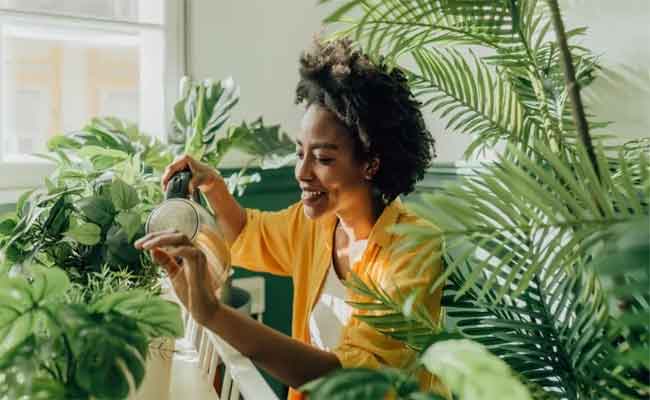 7 نباتات علاجية تحتاجها كل عروس في منزلها…