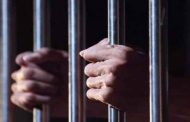 توقيع عقوبة عامين حبسا نافذا في حق المدير العام للمؤسسة الفلاحية لإنتاج البذور 