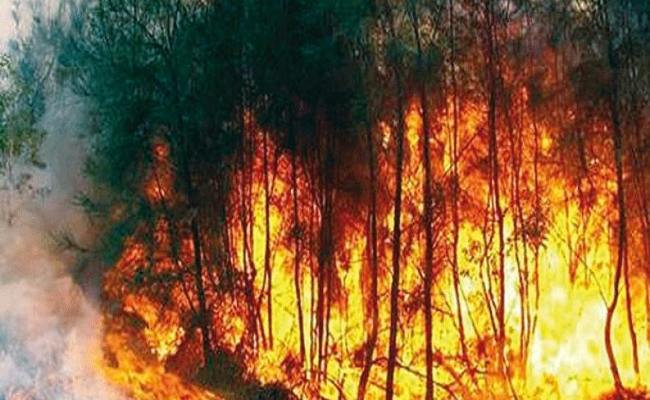موجة حرارة قوية خلال 72 ساعة في تيزي اوزو   تسجيل اندلاع أكثر من 40 حريق