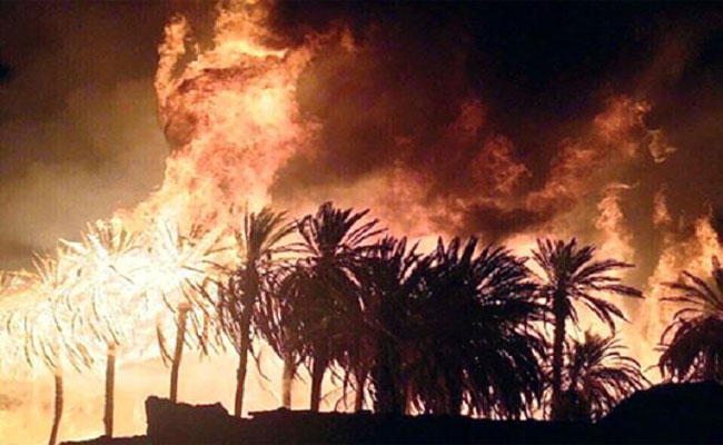 حريق مهول في بشار يتلف 150 نخلة، و السبب مازال مجهولا