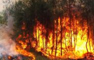 نشوب حريق غابوي بولاية بومرداس