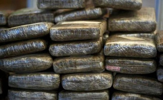 عناصر الجيش الوطني توقف 3 تجار للمخدرات و تحجز أكثر من 16 قنطارا من الكيف المعالج و أسلحة و سيارات بتندوف و معسكر و تلمسان