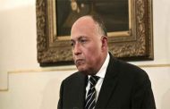 وزير الخارجية المصري يعترف بالاختلاف مع السعودية في الملف السوري