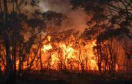 حريق مهول يلتهم ما يقارب 30 هكتارا من الغابات في جيجل