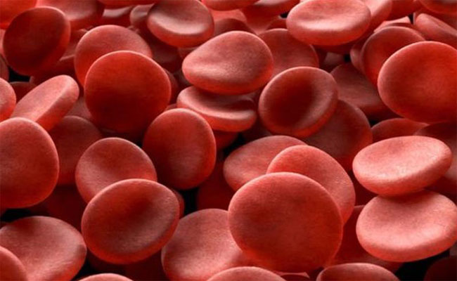 نهج جديد لإنتاج غير محدود من كريات الدم الحمراء