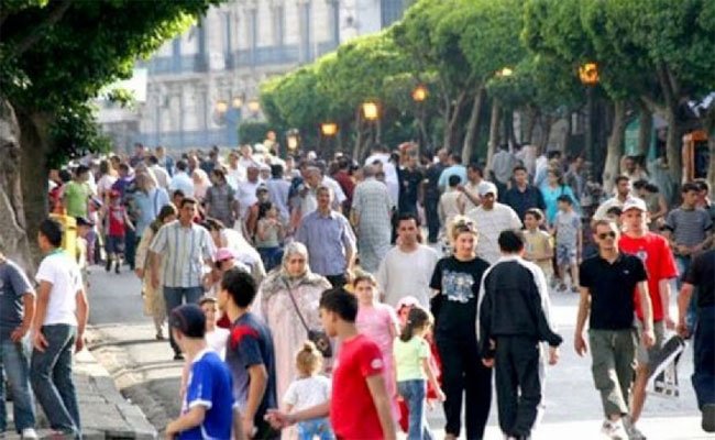 دراسة ميدانية تؤكد أن أكثر من ثلث الشباب الجزائري ما بين 15 و 29 سنة لا يزاولون أي نشاط سواء دراسة أو عمل