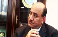 هشام جنينة: السياسة في مصر مؤلمة