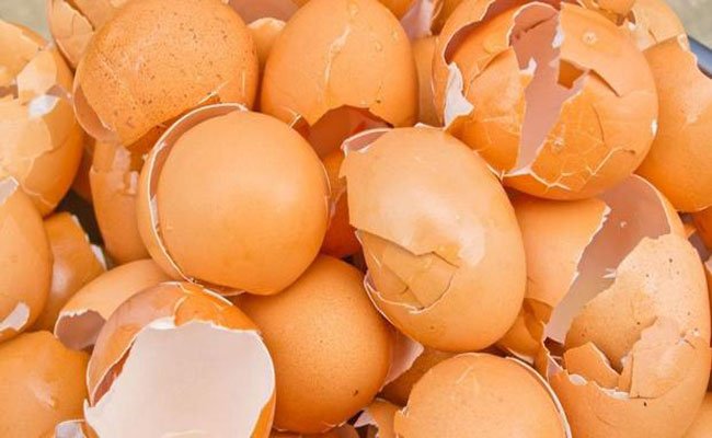 5 استخدامات جمالية مذهلة لقشر البيض