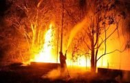 24 ساعة من الحرائق كانت كافية لإتلاف 378 هكتارا من الغابات عبر التراب الوطني
