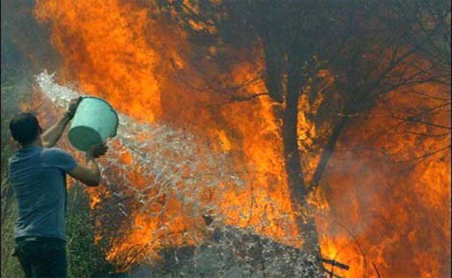 رئيس الجمهورية يعطي تعليماته بتعويض ضحايا حرائق الغابات بتيزي وزو