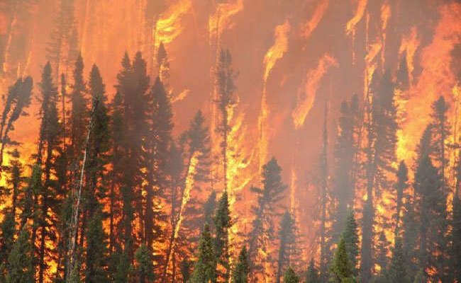 حرائق الغابات تودي بحياة 9 أشخاص و الدرك يوقف 26 مـتورطا بـ 9 ولايــات