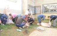 المفتشية الولائية للبيطرة : تسخير أزيد من 150 طبيب بيطري طيلة اليوم  الأول و الثاني لعيد الأضحى بولاية الجزائر