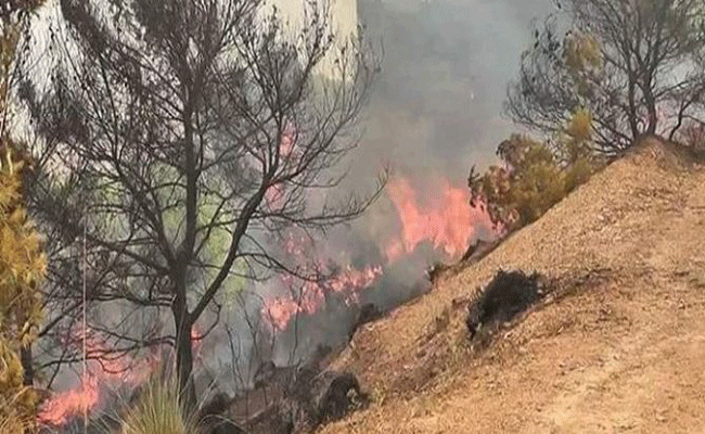 توقيف أكثر من 18 شخصا متلبسا في حرائق الغابات المفتعلة على مستوى