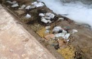 الرمي العشوائي لأكوام الأتربة و النفايات يهدد بكوارث طبيعية في مركز عمروسة ببوينان بالبليدة