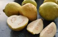 هل يجب ان تتناول الحامل فاكهة الجوافة؟