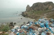 كمية النفايات البحرية بالعاصمة تتراجع بحوالي 60 في المائة على السواحل