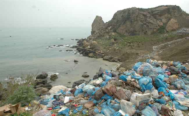 كمية النفايات البحرية بالعاصمة تتراجع بحوالي 60 في المائة على السواحل