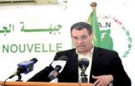 البرنامج الانتخابي لجبهة الجزائر الجديدة يطرح  