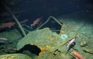 الباحثون الأستراليون يجدون غواصة في قعر المحيط بعد 103 سنة من البحث