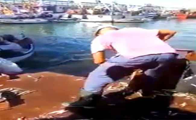 التحقيق في فيديو متداول يظهر رمي صيادين من مستغانم صناديق من سمك السردين بالبحر