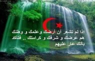 عصابة الحركي تبيع الوطن جِهارًا نهارًا (الشعب معلا بالوش)