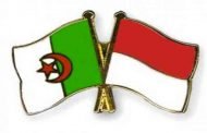 أندونيسيا تعرب عن إرادتها في تكثيف علاقاتها مع الجزائر