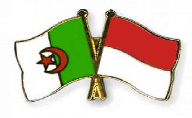 أندونيسيا تعرب عن إرادتها في تكثيف علاقاتها مع الجزائر