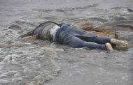 عرض بحر سواحل مستغانم  يلفظ رابع جثة خلال أسبوع