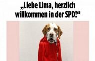 ليما أول كلبة تمارس حقها بالتصويت