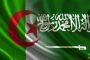 بن صالح يعرب عن شكره للقادة العرب على تعازيهم ومواساتهم للجزائر في سقوط الطائرة العسكرية ببوفاريك