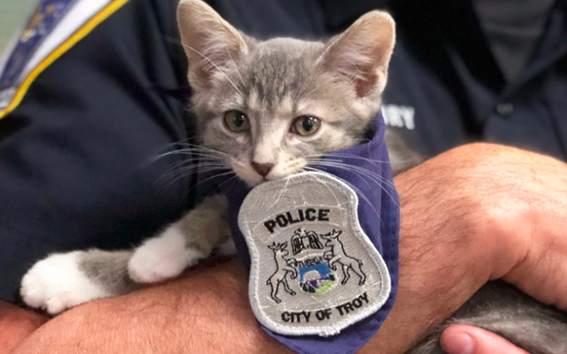 قطة أدّت اليمين الدستورية في شرطة ميشيغان !!!