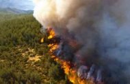 تسجيل إتلاف 313 هكتارا من الغابات بسبب الحرائق في ظرف أسبوع