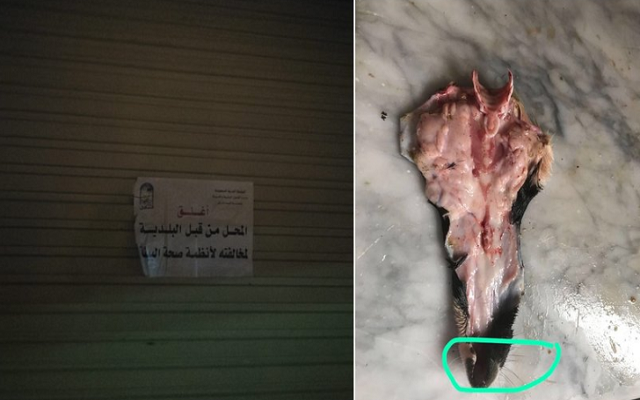 بالسعودية مطعم يقدم لحم الكلاب لزبائنه