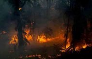 حملة تحسيسية لتوعية مستعملي الطريق حول مكافحة حرائق الغابات بالعاصمة