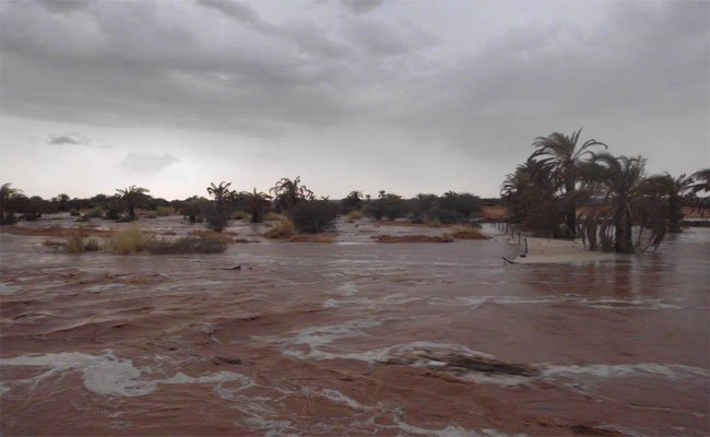 الاضطربات الجوية على ولاية أدرار تحرم 20.000 عائلة من الكهرباء
