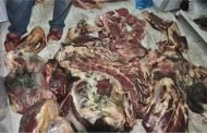 مصالح الأمن بالأغواط تحجز 270 كغ من اللحوم الفاسدة