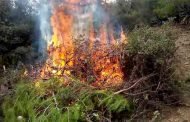 الحرائق تستنزف الثروة الغابية : اتلاف أزيد من 320.000 هكتارا غابيا ما بين 2008 و 2017