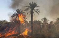 حريق مهول يتسبب في إتلاف 90 نخلة بقرية اقسطن في عين صالح