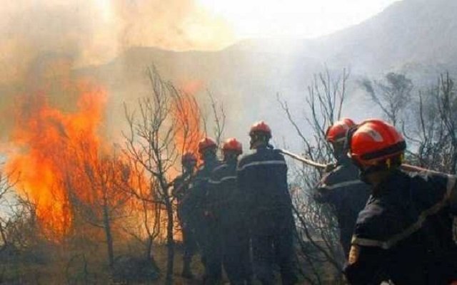 الحرائق تتلف أكثر من 2.200 هكتار