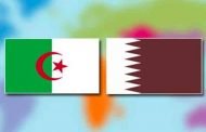 العلاقات الجزائرية / القطرية : دعوة لتفعيل شراكة حقيقية بين البلدين