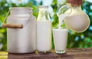عزوف المواطنين عن اقتناء الحليب المعلب يتسبب في اتلاف 20 ألف لتر منه !
