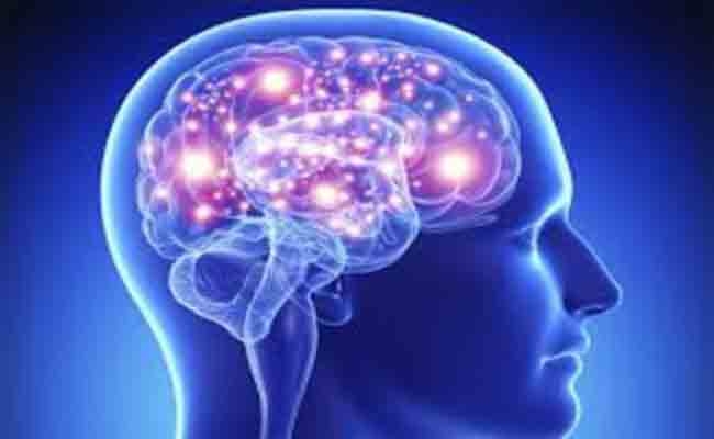 ما هي المواد الغذائية التي تحسّن عمل الدماغ؟