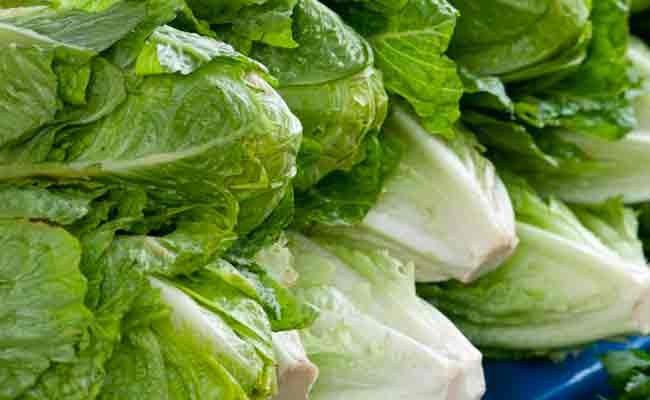 الخسّ ليس فقط مكوّناً لذيذاً في السلطات… اكتشفي كيف يمكن ان ينقص وزنك!