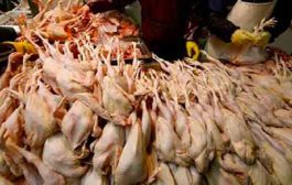 درك تيسمسيلت يحجز 250 كلغ من اللحوم البيضاء الفاسدة ببلدية العيون