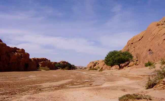 والي البيض يؤكد استرجاع 50 ألف هكتار كان استفاد منها مجمع “حداد” ببريزينة