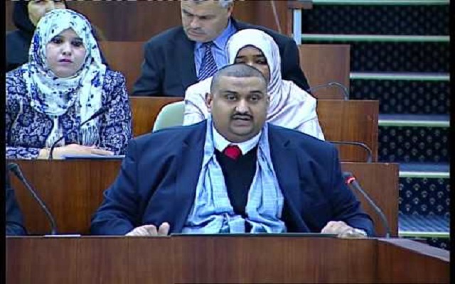 مذكرات مثقف وشيكور في بلاد ميكي / الحلقة السابعة والعشرون  : شيكور في المجلس الشعبي الوطني