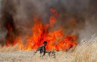 إجلاء عشرات الأسر الإسرائيلية بسبب الحرائق