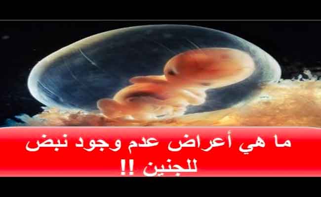 ما هي أسباب وأعراض توقّف نبض الجنين؟