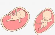 حركة الجنين في الشهر الثالث من الحمل