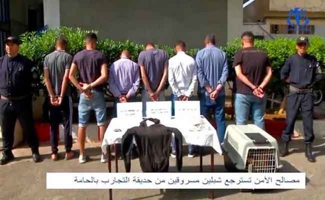 أمن العاصمة يسترجع شبلين سرقا من العيادة البيطرية بحديقة الحامة و يوقف 19 مشتبها فيهم